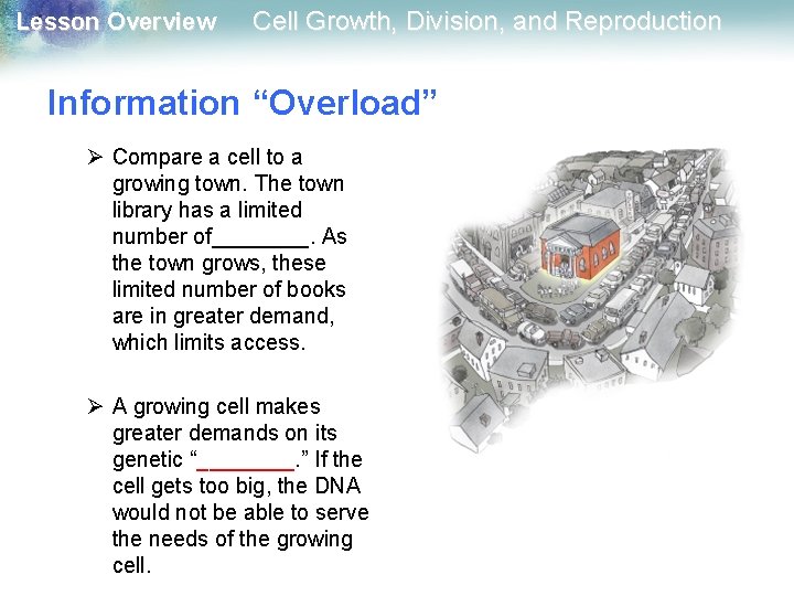 Lesson Overview Cell Growth, Division, and Reproduction Information “Overload” Ø Compare a cell to