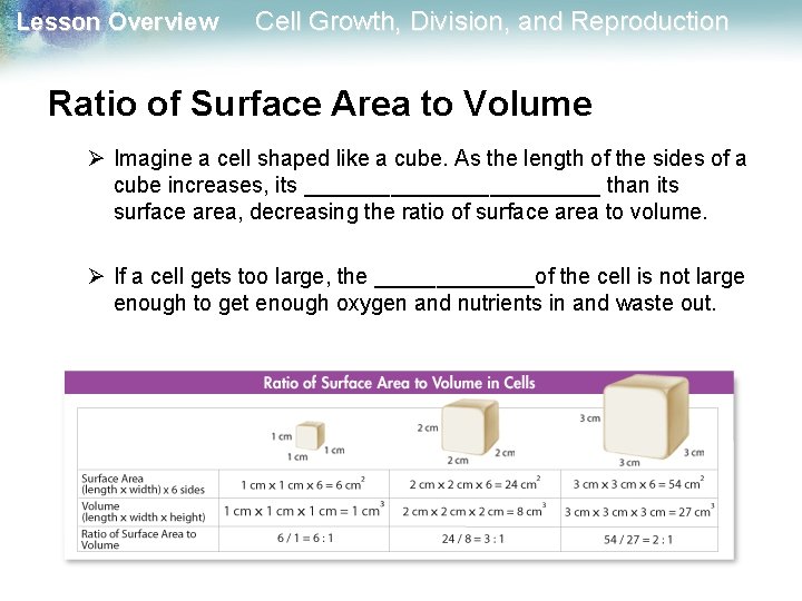 Lesson Overview Cell Growth, Division, and Reproduction Ratio of Surface Area to Volume Ø