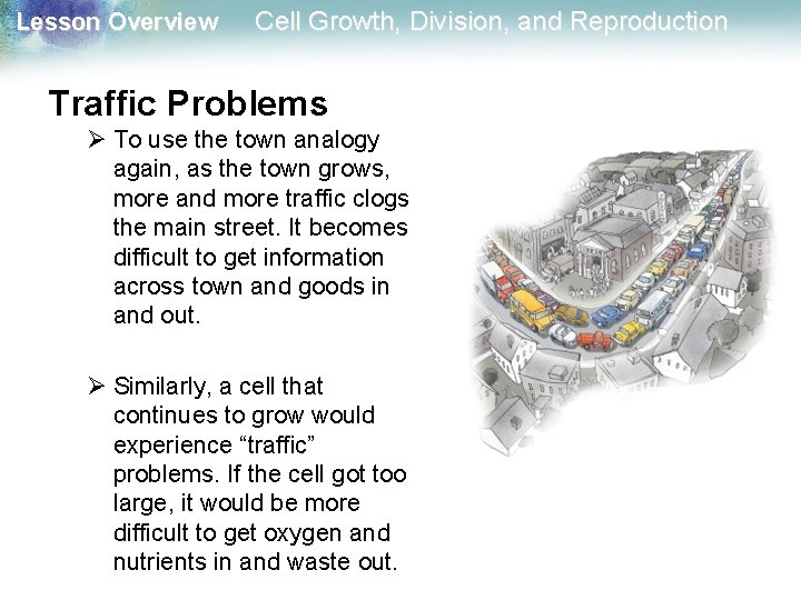 Lesson Overview Cell Growth, Division, and Reproduction Traffic Problems Ø To use the town