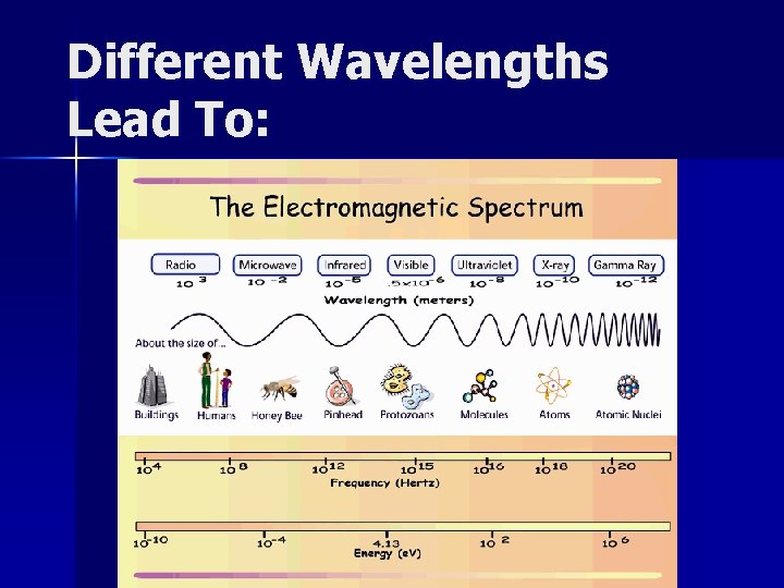 Different Wavelengths Lead To: 