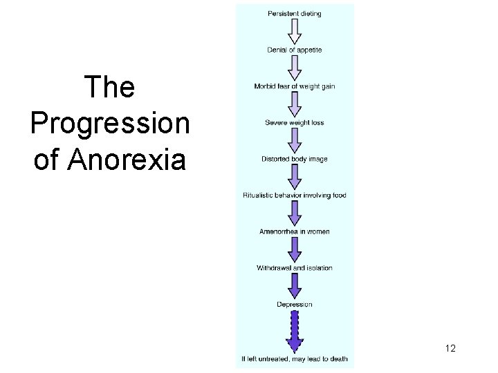 The Progression of Anorexia 12 