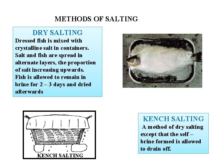 METHODS OF SALTING DRY SALTING Dressed fish is mixed with crystalline salt in containers.