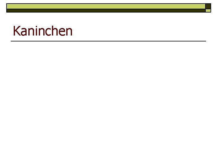 Kaninchen 