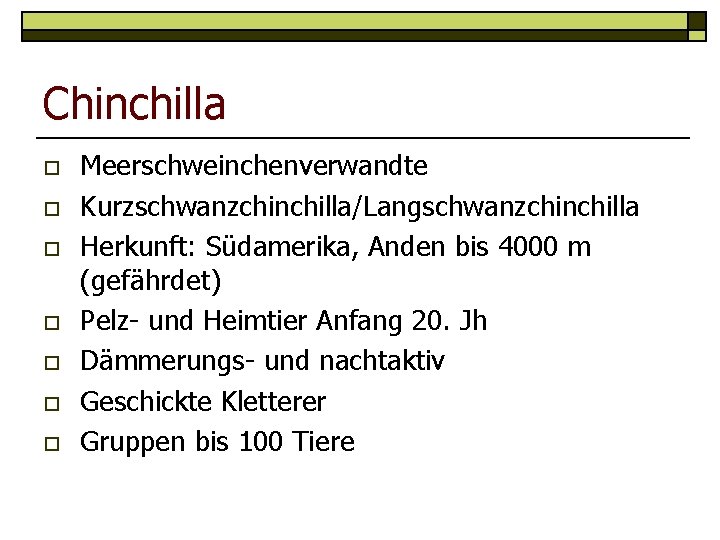 Chinchilla o o o o Meerschweinchenverwandte Kurzschwanzchinchilla/Langschwanzchinchilla Herkunft: Südamerika, Anden bis 4000 m (gefährdet)