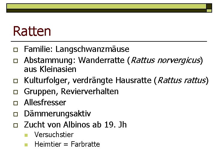 Ratten o o o o Familie: Langschwanzmäuse Abstammung: Wanderratte (Rattus norvergicus) aus Kleinasien Kulturfolger,