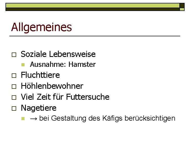 Allgemeines o Soziale Lebensweise n o o Ausnahme: Hamster Fluchttiere Höhlenbewohner Viel Zeit für