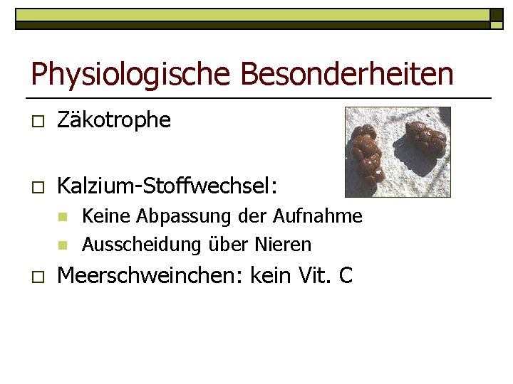 Physiologische Besonderheiten o Zäkotrophe o Kalzium-Stoffwechsel: n n o Keine Abpassung der Aufnahme Ausscheidung
