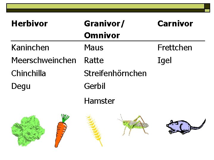 Herbivor Kaninchen Granivor/ Omnivor Maus Meerschweinchen Ratte Chinchilla Streifenhörnchen Degu Gerbil Hamster Carnivor Frettchen
