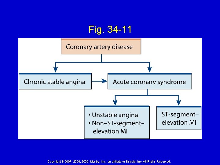 Fig. 34 -11 Copyright © 2007, 2004, 2000, Mosby, Inc. , an affiliate of