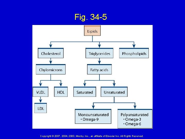 Fig. 34 -5 Copyright © 2007, 2004, 2000, Mosby, Inc. , an affiliate of