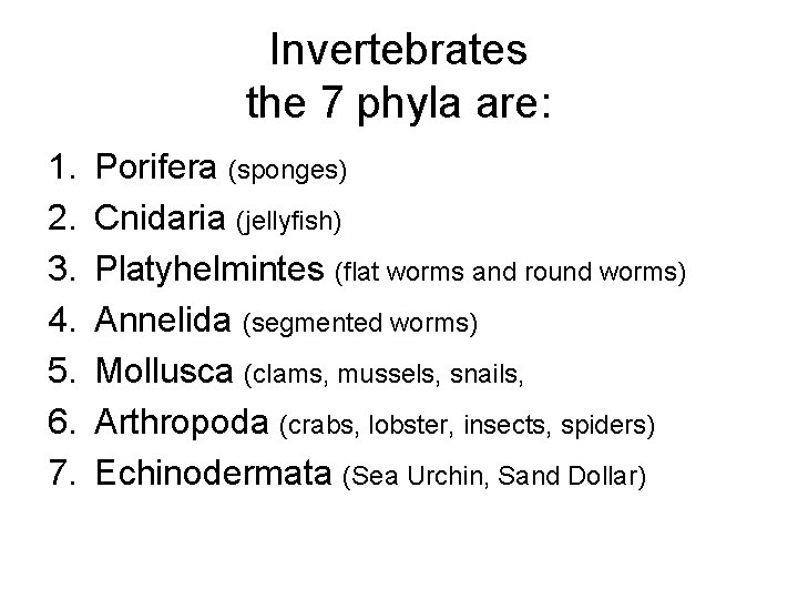 Invertebrates the 7 phyla are: 1. 2. 3. 4. 5. 6. 7. Porifera (sponges)