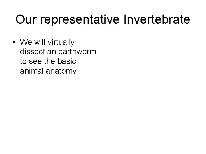 Our representative Invertebrate • We will virtually dissect an earthworm to see the basic