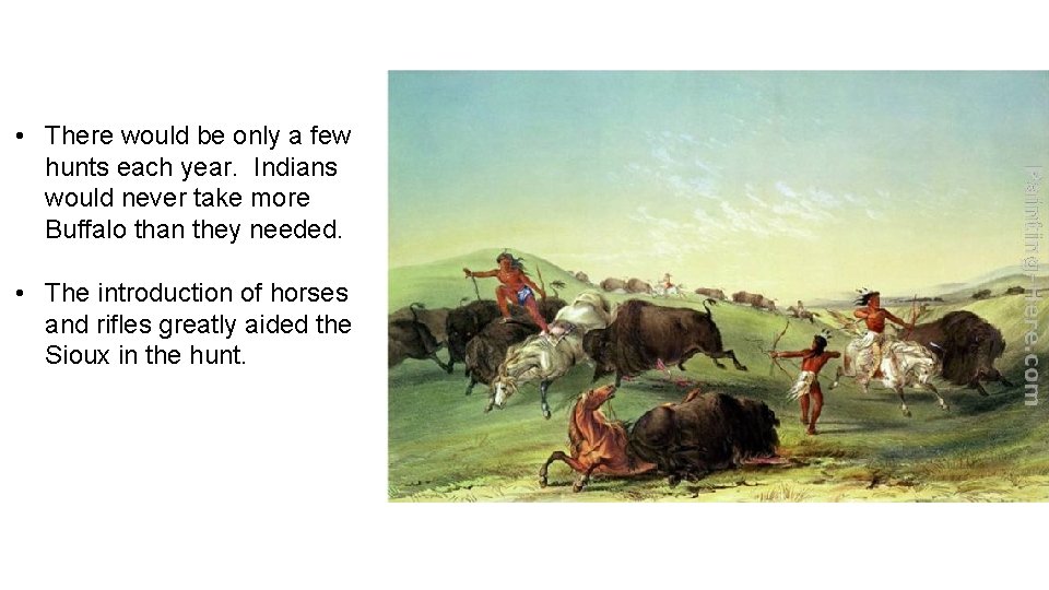  • There would be only a few hunts each year. Indians would never