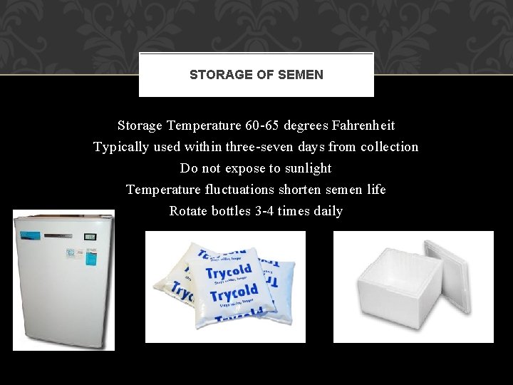 STORAGE OF SEMEN Storage Temperature 60 -65 degrees Fahrenheit Typically used within three-seven days
