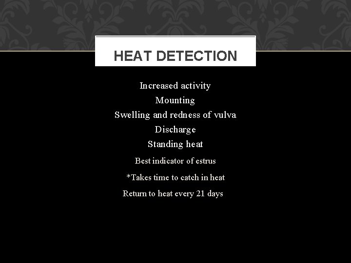 HEAT DETECTION Increased activity Mounting Swelling and redness of vulva Discharge Standing heat Best