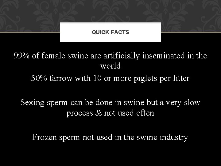 QUICK FACTS 99% of female swine artificially inseminated in the world 50% farrow with