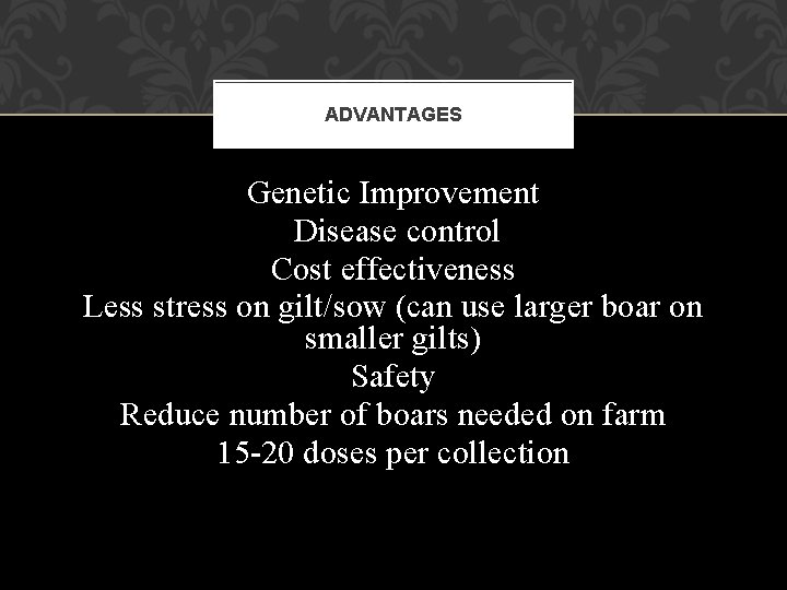 ADVANTAGES Genetic Improvement Disease control Cost effectiveness Less stress on gilt/sow (can use larger