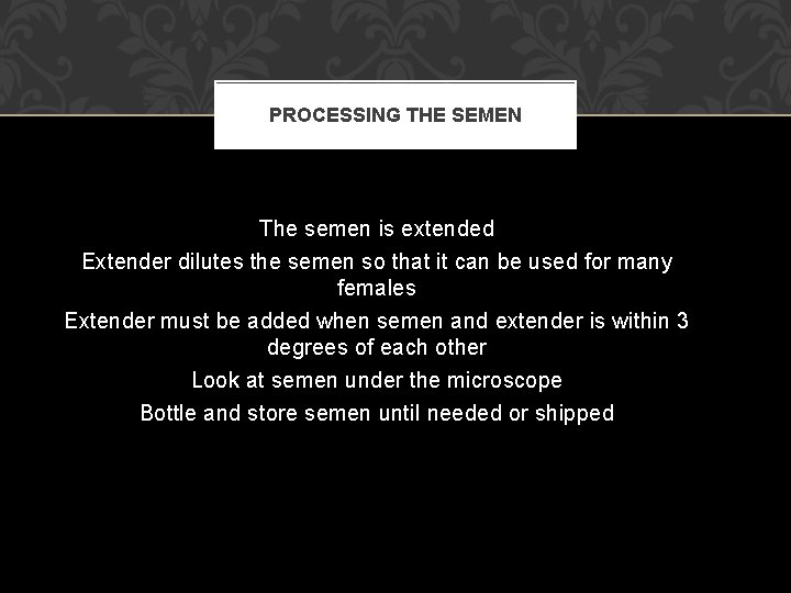 PROCESSING THE SEMEN The semen is extended Extender dilutes the semen so that it
