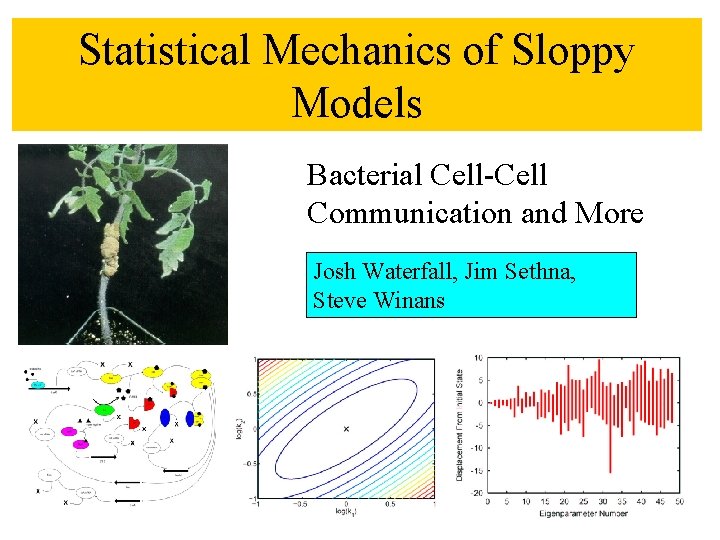 Statistical Mechanics of Sloppy Models Bacterial Cell-Cell Communication and More Josh Waterfall, Jim Sethna,