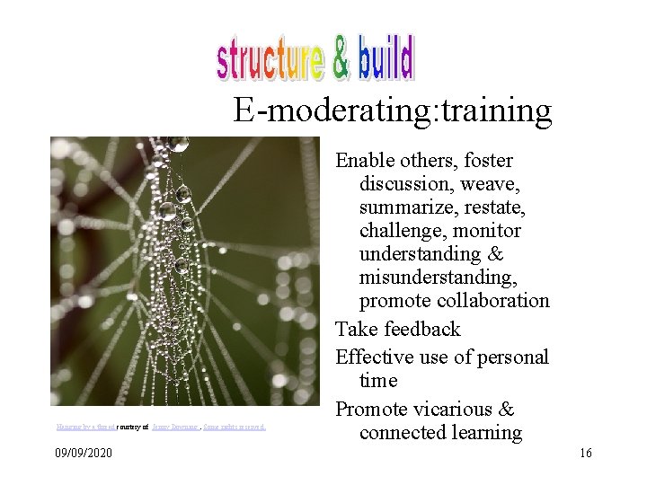 E-moderating: training Hanging by a thread courtesy of Jenny Downing. Some rights reserved. 09/09/2020
