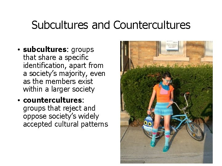 Subcultures and Countercultures • subcultures: groups that share a specific identification, apart from a