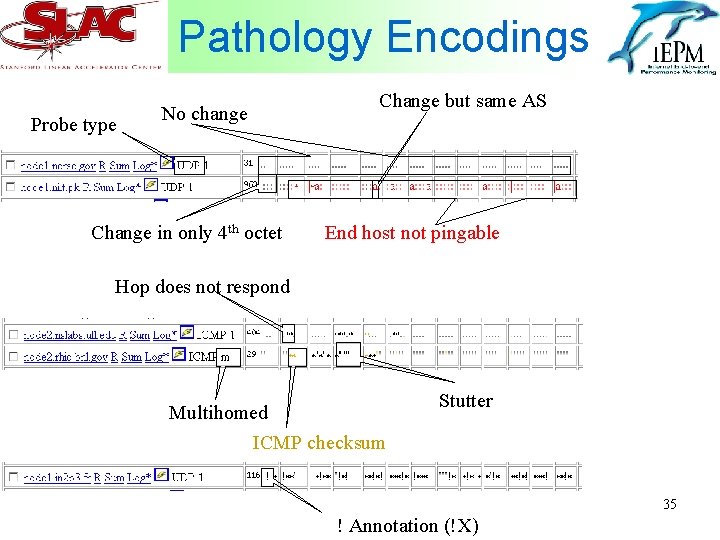 Pathology Encodings Probe type No change Change in only 4 th octet Change but