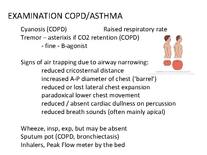 EXAMINATION COPD/ASTHMA Cyanosis (COPD) Raised respiratory rate Tremor – asterixis if CO 2 retention