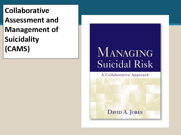 Collaborative Assessment and Management of Suicidality (CAMS) 
