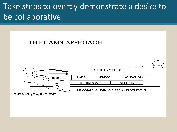 Take steps to overtly demonstrate a desire to be collaborative. 