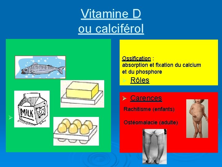 Vitamine D ou calciférol Ossification : absorption et fixation du calcium et du phosphore