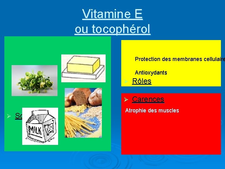 Vitamine E ou tocophérol Protection des membranes cellulaire Antioxydants Ø Sources Ø Rôles Ø