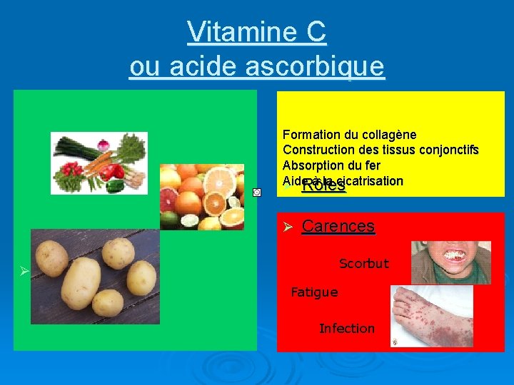 Vitamine C ou acide ascorbique Formation du collagène Construction des tissus conjonctifs Absorption du