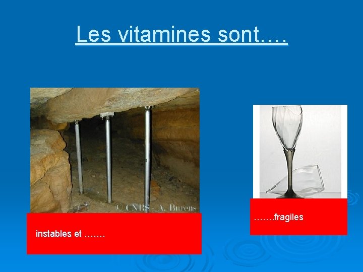 Les vitamines sont…. ……. fragiles instables et ……. 