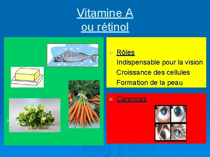 Vitamine A ou rétinol Ø Sources Ø Rôles Indispensable pour la vision Croissance des