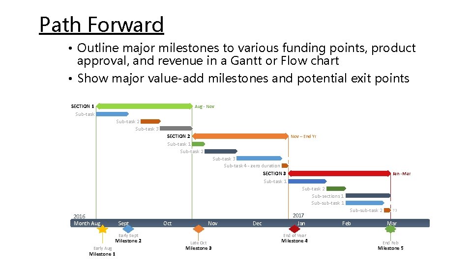 Path Forward • Outline major milestones to various funding points, product approval, and revenue