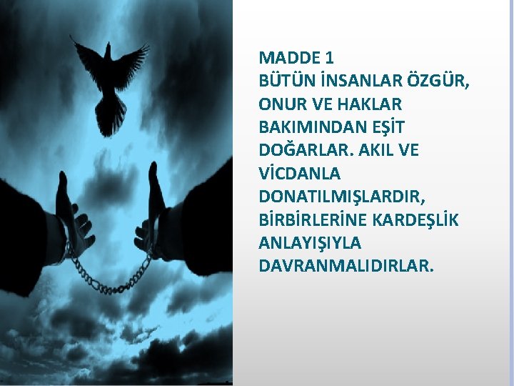 MADDE 1 BÜTÜN İNSANLAR ÖZGÜR, ONUR VE HAKLAR BAKIMINDAN EŞİT DOĞARLAR. AKIL VE VİCDANLA