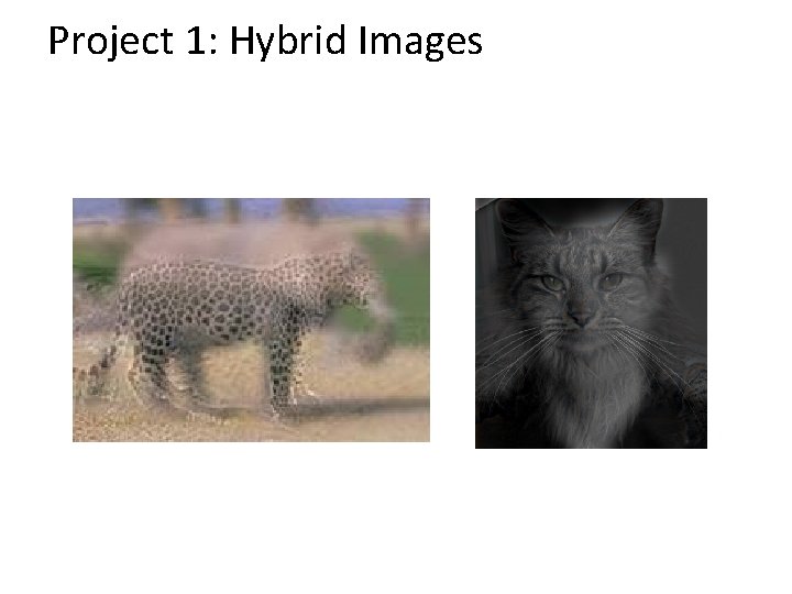 Project 1: Hybrid Images 