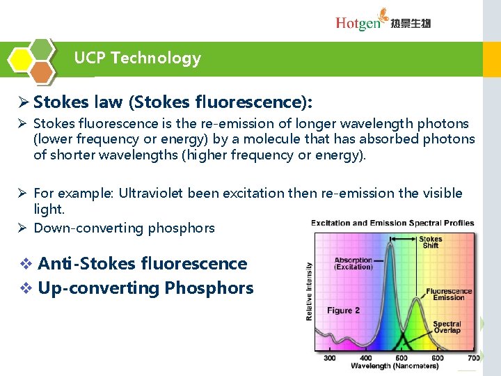UCP Technology Ø Stokes law (Stokes fluorescence): Ø Stokes fluorescence is the re-emission of