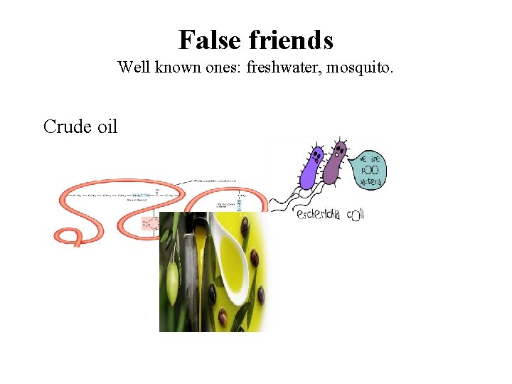 False friends Well known ones: freshwater, mosquito. Crude oil 