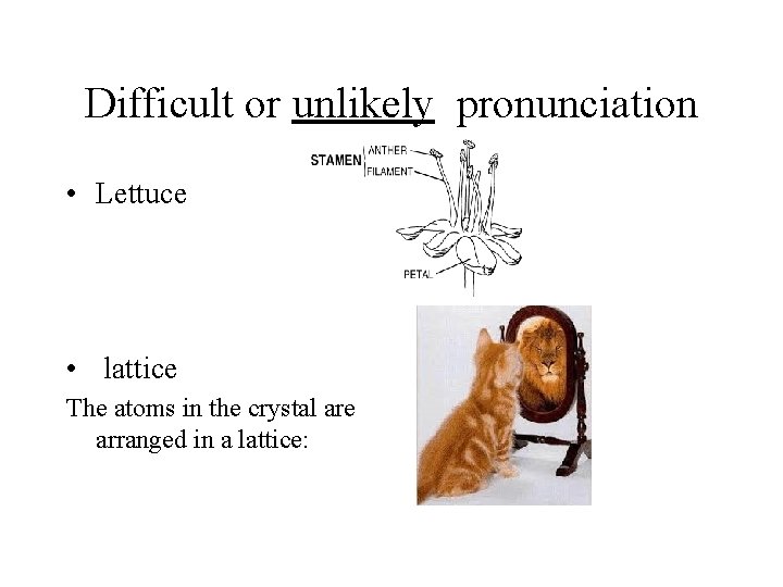 Difficult or unlikely pronunciation • Lettuce • lattice The atoms in the crystal are
