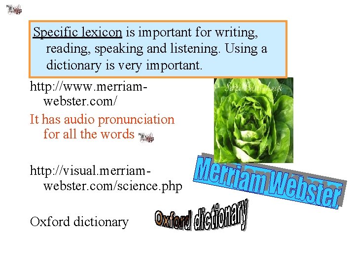 Specific lexicon is important for writing, reading, speaking and listening. Using a dictionary is