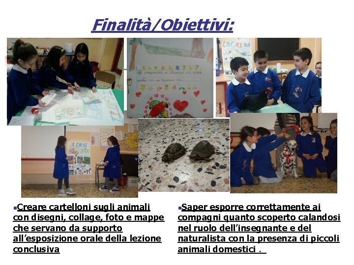 Finalità/Obiettivi: n. Creare cartelloni sugli animali con disegni, collage, foto e mappe che servano