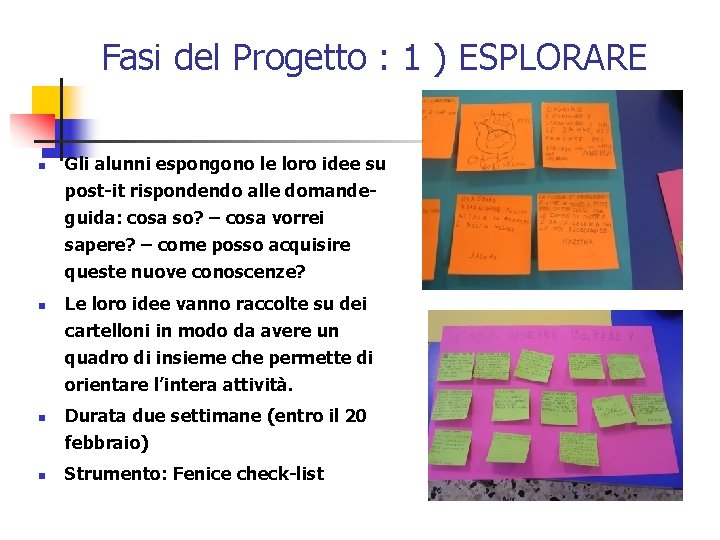 Fasi del Progetto : 1 ) ESPLORARE n n Gli alunni espongono le loro