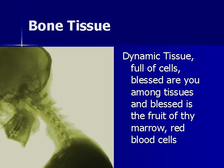 Bone Tissue Dynamic Tissue, full of cells, blessed are you among tissues and blessed