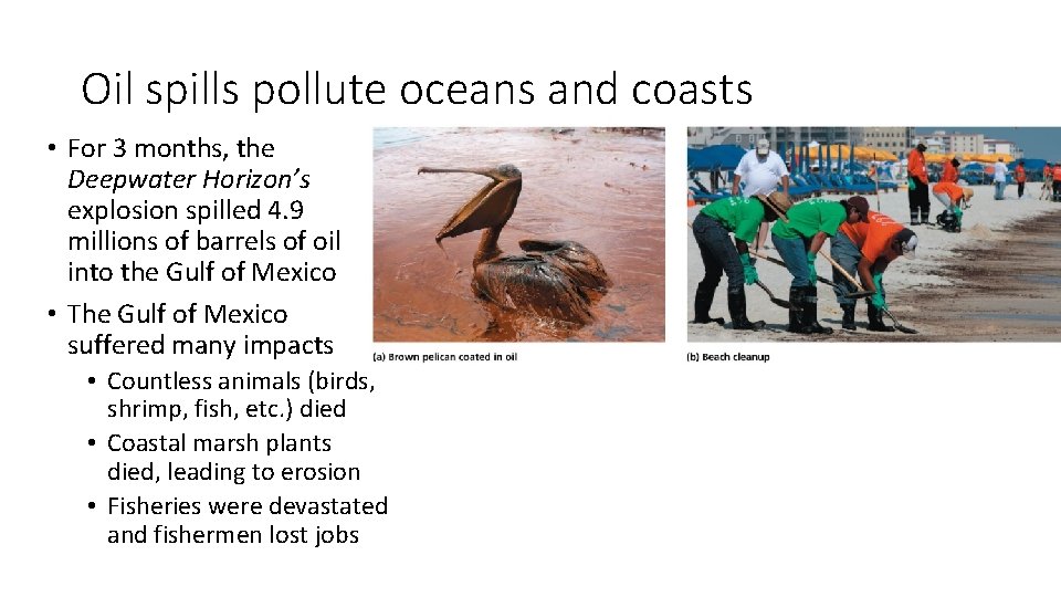 Oil spills pollute oceans and coasts • For 3 months, the Deepwater Horizon’s explosion