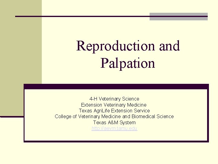 Reproduction and Palpation 4 -H Veterinary Science Extension Veterinary Medicine Texas Agri. Life Extension