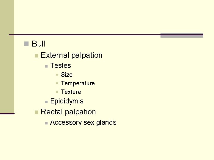  Bull External palpation Testes Size Temperature Texture Epididymis Rectal palpation Accessory sex glands