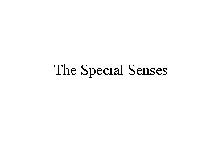 The Special Senses 