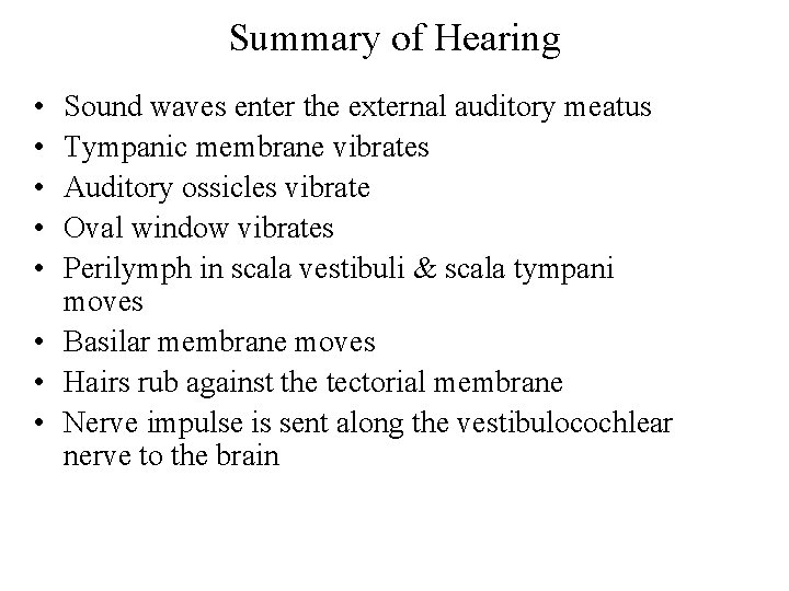 Summary of Hearing • • • Sound waves enter the external auditory meatus Tympanic