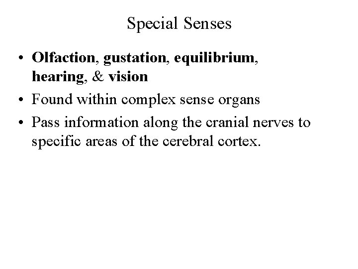 Special Senses • Olfaction, gustation, equilibrium, hearing, & vision • Found within complex sense